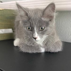 Meet your Posher, Jamie